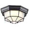 Nuvo LED Spider Cage Fixture, Black Finish with Frosted Glass 62/1400 - alternate 7
